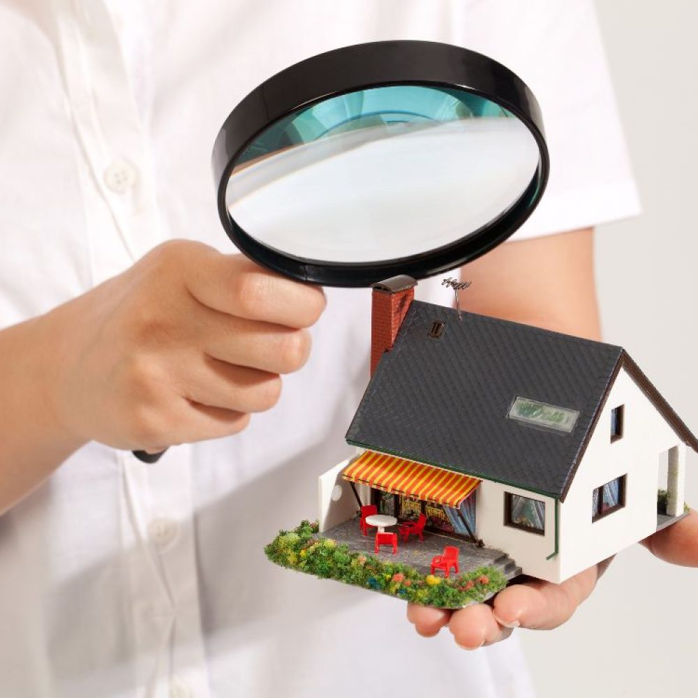 Property Inspection Services